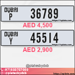 12235771-090c-461e-91f1-f7a2e5df6396