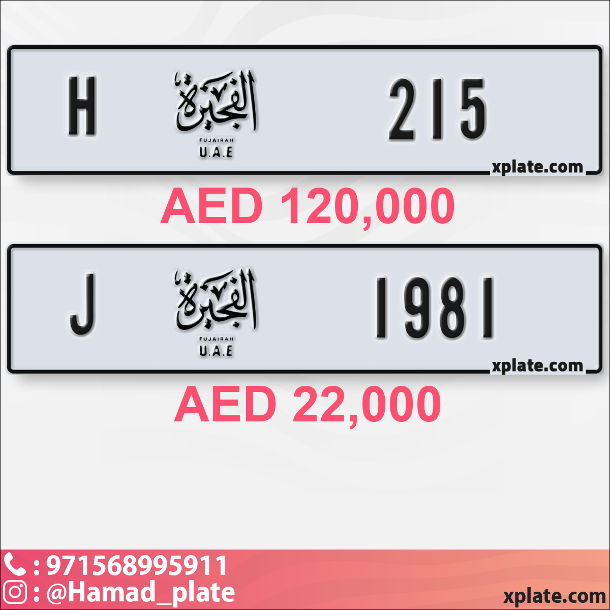 3d67349e-8744-432a-83d9-05f73347f971