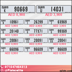 5f273d4b-a82e-4884-bb09-292558a5d389