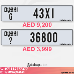 8fae535e-0f1a-4cea-a2e3-9b4b7b1f25c2