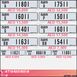 d8c4ac55-6b48-40fb-b870-0707679667c9