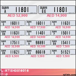 f10e8b5b-ba5b-441c-8d68-653240b7dc41