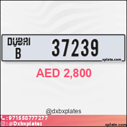 f1352cdd-824f-4409-a747-8945647f505c