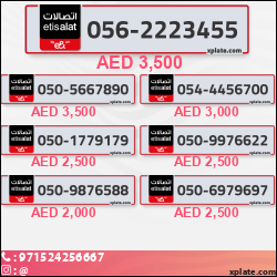 febfaacb-673f-442f-be5f-e76eaddb11ba