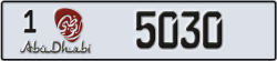 abu dhabi - code - 1 - number -5030