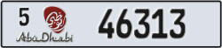 abu dhabi - code - 5 - number -46313