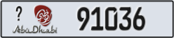 abu dhabi - code - _ - number -91036