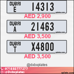 1fab5106-7678-4b12-b794-8c9b2942d7a0