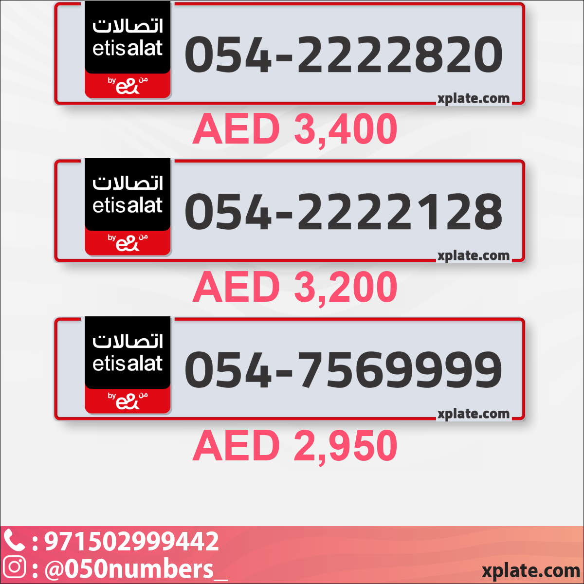 24481be4-5460-4831-9956-584fa7147802