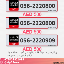 3034ba51-0848-4c77-adbb-cbb43652e90f