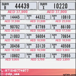 485a41b1-2ae7-4e06-b4d2-a168e5511fce