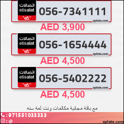 78934aa6-dc03-49e5-a5d9-2f1cbb010589