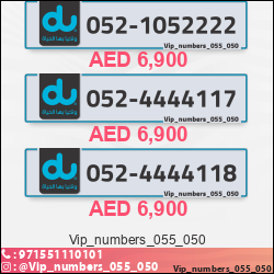 82888578-1538-4d55-b0b4-73e37356d2fc