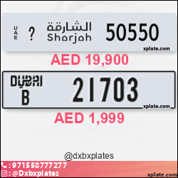 d8cc184d-c96f-4f64-b1b8-6334dbe04923