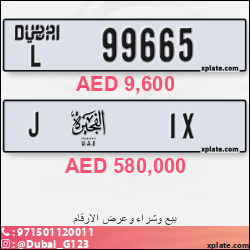 ec4d61c1-2aa2-45b8-8cf9-475eb5808ccb