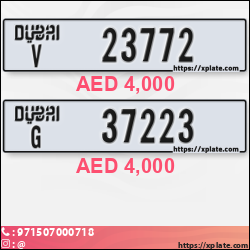 f1701eee-0e66-46f7-a671-b4b2c7476d80