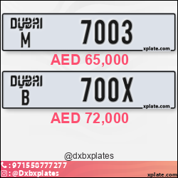 f90866dd-993e-468e-af17-dfee8f894701