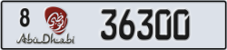 abu dhabi - code - 8 - number -36300