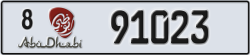 abu dhabi - code - 8 - number -91023