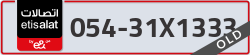  - code - 054 - number -31X1333